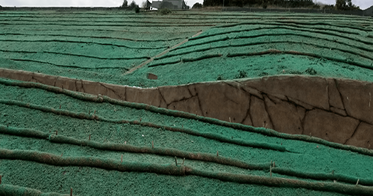 hydromulch